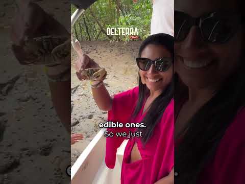VOLTA AO DELTA - O Passeio mais completo ao Delta do Parnaíba (Piauí/Maranhão)