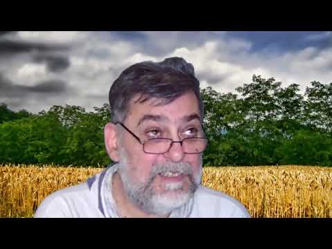 Gnev Srbije, 01 07 2019  Autor  Milan Milenković