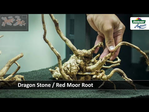 Aquascaping Tipps🐟 So kannst Du dein Aquarium einrichten 🐠 Dehner Aqua Start 80