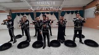 Video de Mariachi Águilas del Sinaloa