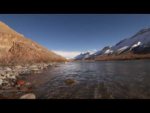 Deep Dreamy Vibes 10 - Altar Ego