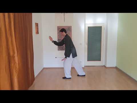 Wu Tai Chi Wien Einsteiger Anfängerkurs, 12 Bewegungen Kurzform