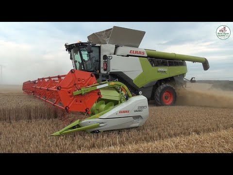 Weizen Ernte 2020 mit 5x Claas Lexion 8900 und 770, Grain Harvest - Multi Agrar Claußnitz GmbH, JCB
