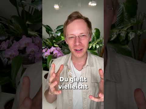 Schimmel auf der Erde?! Keine Panik – hier steckt das echte Problem! 😨🪴