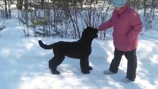 , видео 11.03.2016