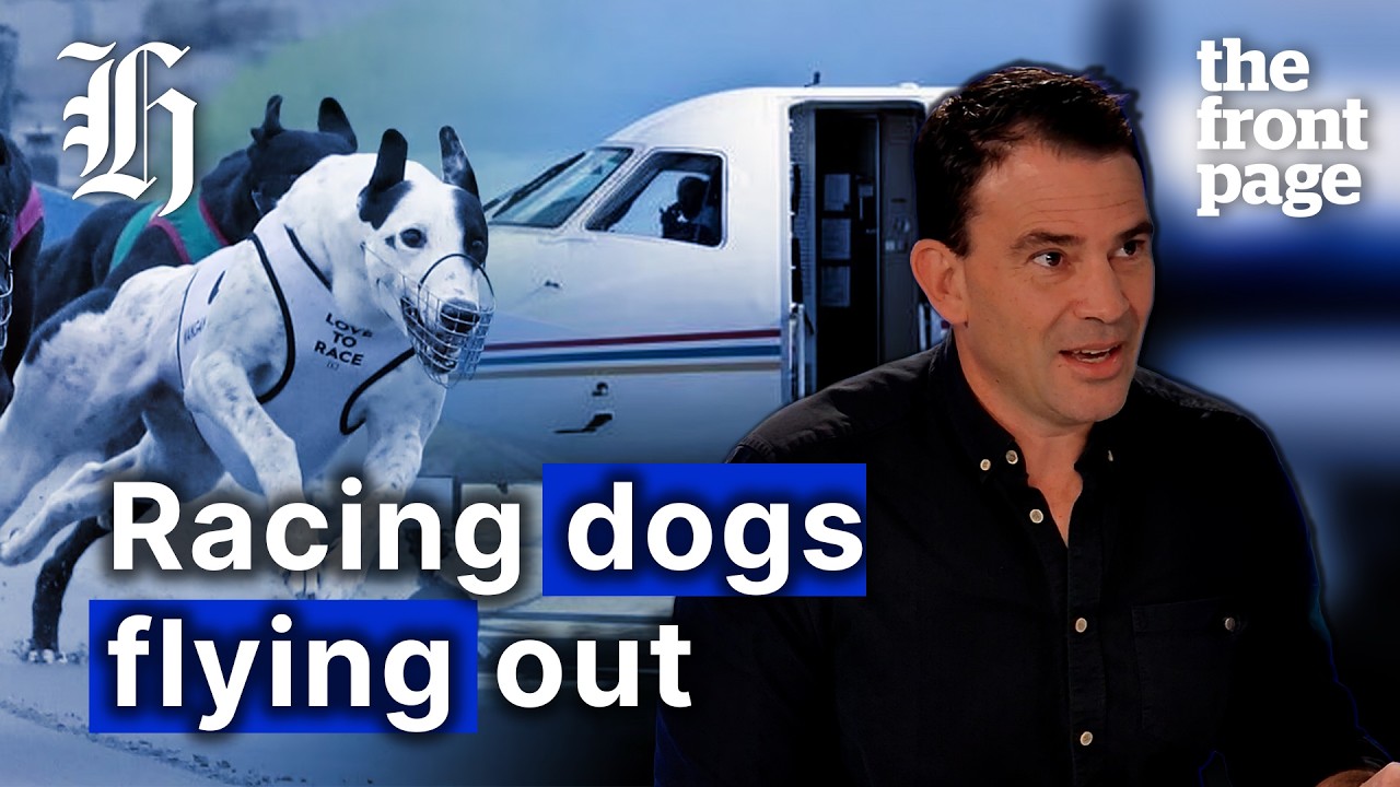 Secret greyhound charter plan emerges ahead of racing ban | The Front Page