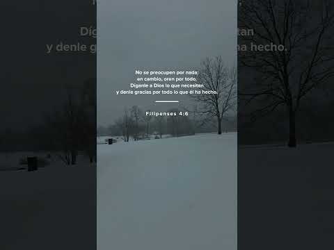 Que la Paz de Cristo esté contigo! ✝️🙏 #jesus #god #motivacion #viralvideo #frases