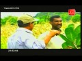 Cic Best Farmer