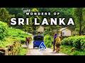 Wonders Of Sri Lanka A Drop In The Indian Ocean Most Amazing Places In Sri Lanka 4K