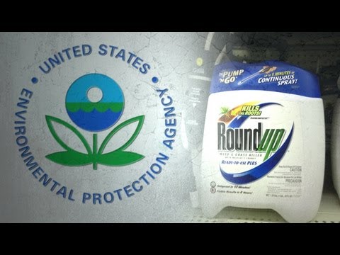 EPA to Raise Allowable Glyphosate Levels in Food Crops by 3,000%!