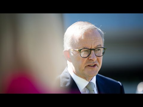 Albanese grilled over Bob Hawke claims