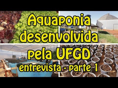 Aquaponia desenvolvida pela UFGD – Entrevista parte 1