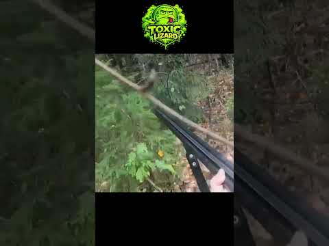 🐻 A Bear Charged Him… But He Still Refused to Shoot 😳