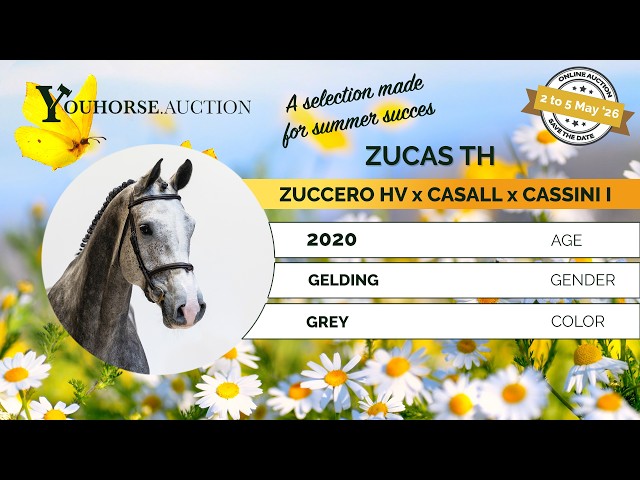 Zucas TH