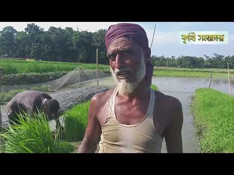 আপদকালীন ভাসমান বীজতলাঃ বীজতলা নষ্ট হওয়ার/জমি পতিত থাকার দিন শেষ