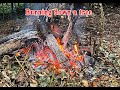 Burning Down A Tree IMG 1147 1
