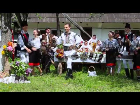 Marius Zgâianu - Bună vreme, gospodari!