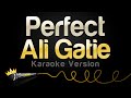 Ali Gatie - Perfect (Karaoke Version)