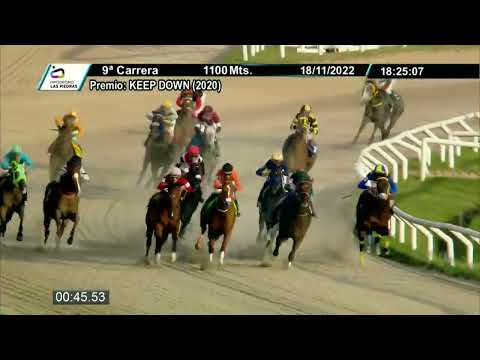 221118 c09 - EL MATADOR (BRZ) - HIPODROMO LAS PIEDRAS