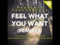 Phonique - Feel What You Want feat. Rebecca ...