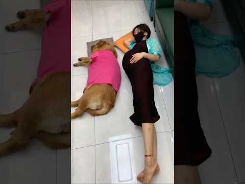 part4Rishta Tod Na Sake Ky#Bas Zindagi Bhar Ka Hai#Dil Ka Rishta Jo Koi Tod Na Sake🐶#trendingnow