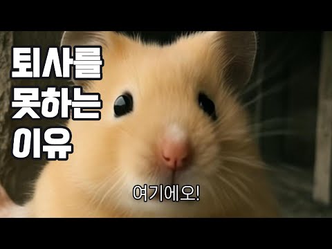 퇴사 안함(X) 퇴사 못함(O)
