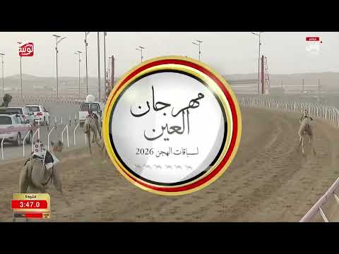 ش 5 (الذيب) لـ عبدالله راشد بن خليفه الغفلي 6:16:65 ، مهرجان العين 2026/08/07 إيذاع الروضة