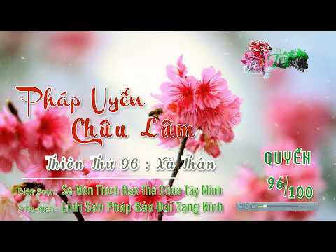 Tập 096 - Pháp Uyển Châu Lâm Quyển 96/100 ::: Thiên Thứ 96: Xả Thân