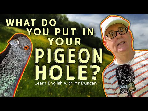 What do you put in your pigeonhole? - (Pigeonhole) A new English word to learn, with Mr Duncan