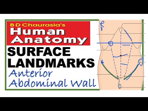 Chp16 | Abdominal Wall | Surface Landmarks | BDC Vol2 | Abdomen | BD Chaurasia | Dr Asif Lectures