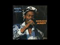 Horace Andy - Sweet Reggae Music - Jammys LP Haul And Jack-Up 1987
