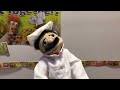 The Swedish Chef Sings Milk Em In The Morning Blues