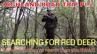 WILDLIFE PHOTOGRAPHY-HIGHLAND ROAD TRIP- SEARCHING FOR RED DEER