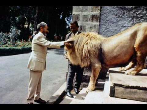 afrikan simba- different style