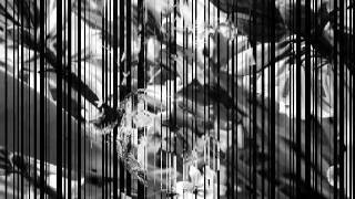 The Death Of A Dream - A Day In The Life (Hawthorne Heights)