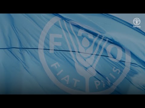 FAO 80 Anniversary Video