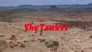 The Shy Tawkes - Pick Me Up On Your Way Down