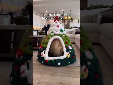 Comment “Christmas” if you want one!🎄✨#dogbed #dogs #christmas #pets