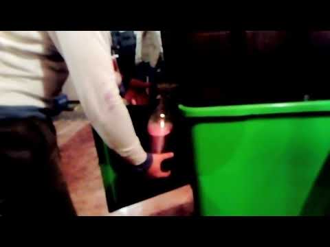 Mustul Românesc Ziua recoltei Constanța 2017