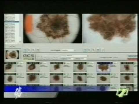 Intervista Effegroup