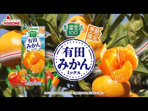 2024年11月5日 野菜生活100 有田みかんミックス_KAGOMEJP