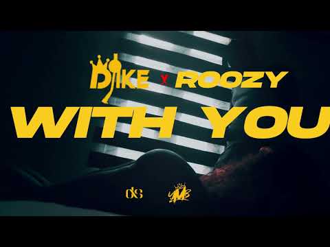 DJ IKE - With You ft. Roozy ( VISUALIZER VIDEO )