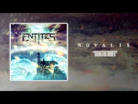 Entities - Genetic Drift