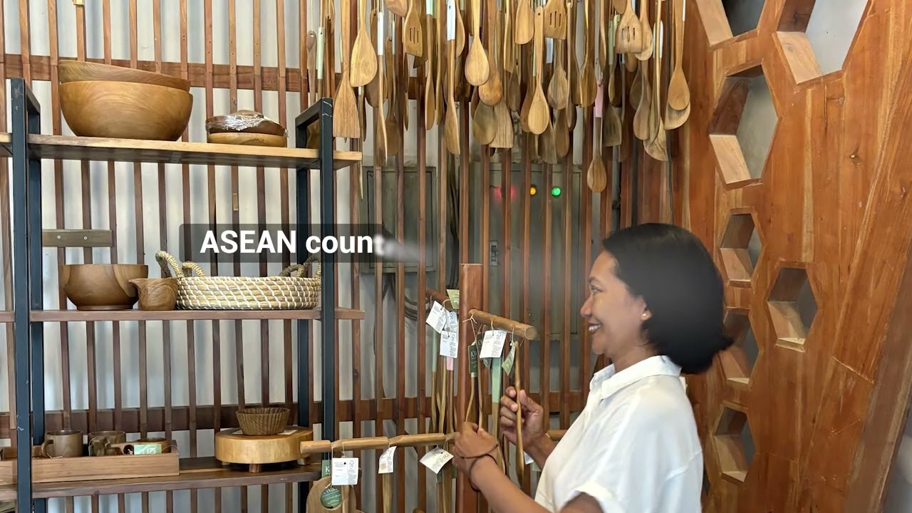 UNEP UN REDD Programme, the blueprint for accelerating commercial development of social forestry