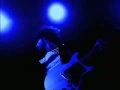 The Fever Ladyfingers