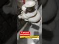 Organic Oyster Mushrooms Mushroom Oystermushrooms Bengaluru Fresh Freshmushrooms Organic