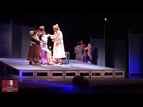 Idolul și Ion Anapoda