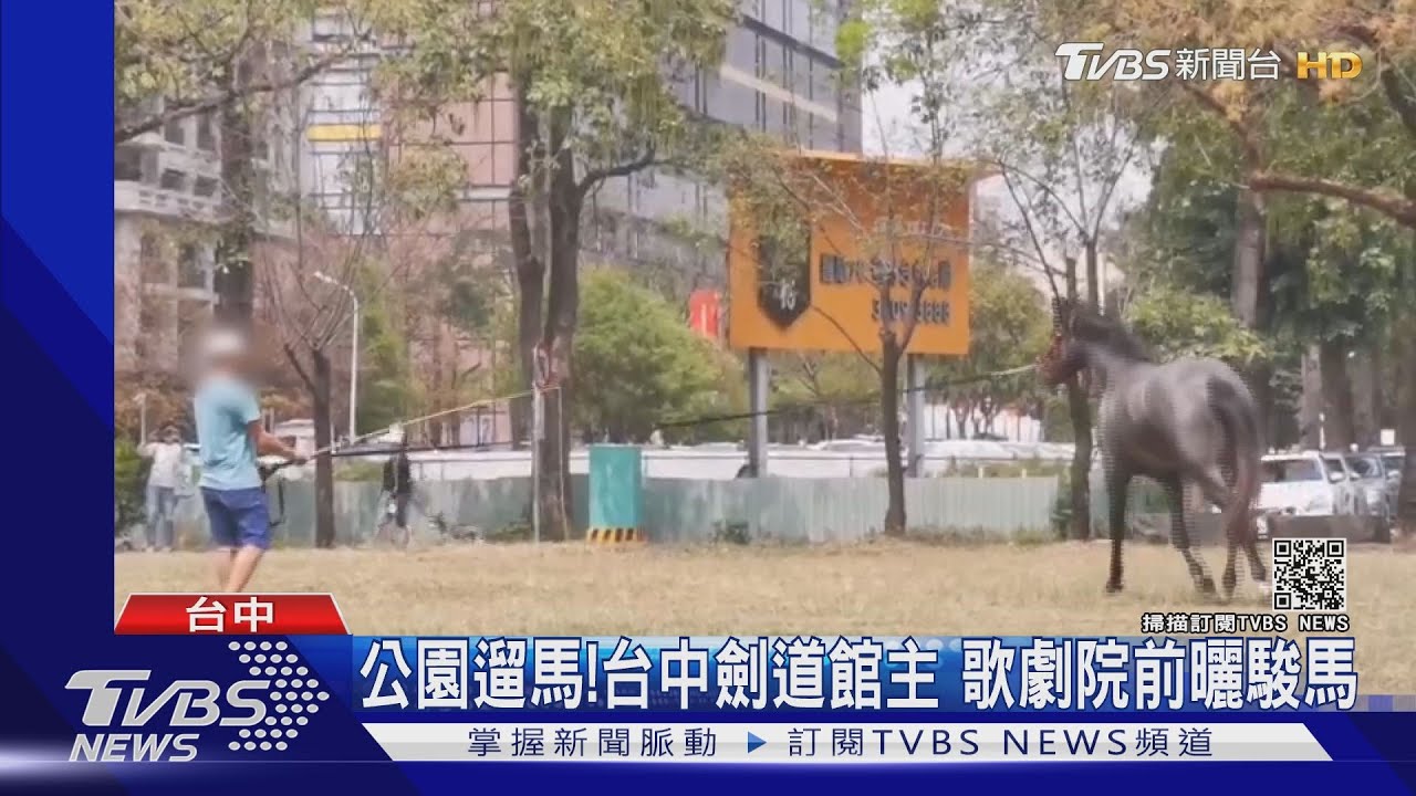 公園遛馬!台中劍道館主 歌劇院前曬駿馬