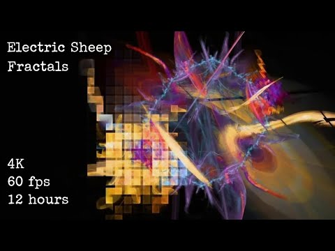 Electric Sheep Fractals 4K 60fps 12 hours ambient animation