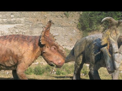 WWD Movie Scowler apologizes to Patchi and Patchi becomes Leader of the Herd (My Edition)